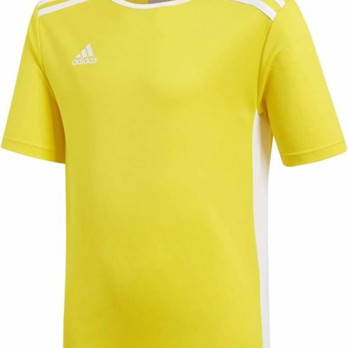 Adidas Entrda18 Youth Jersey Jaune
