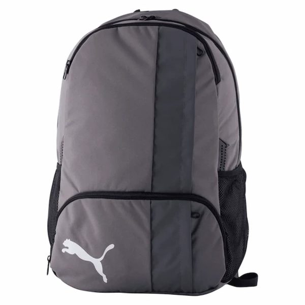 Puma Backpack TeamGOAL Gris