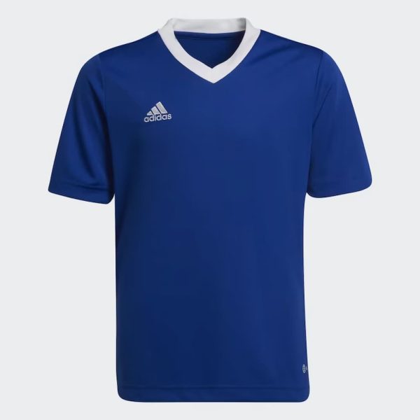 Adidas Ent22 JSY Y Royal