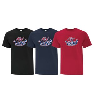 T-shirt 100% coton