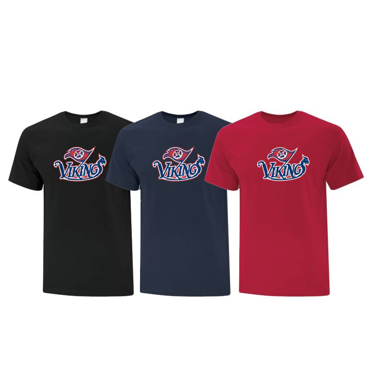T-shirt 100% coton