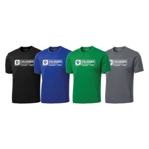 Chandail Polyester SS