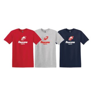 T-shirt 100% coton