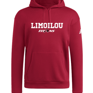 Hoodie Adidas