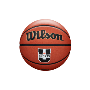 Wilson Ballon de Match Evolution #6