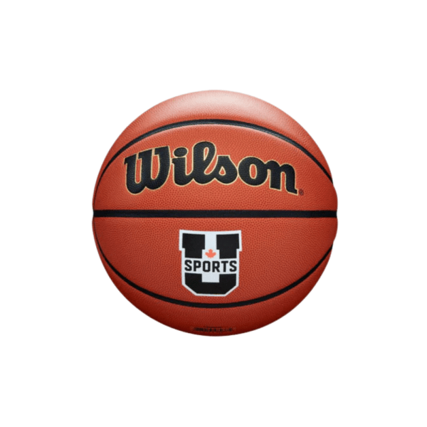 Wilson Ballon de Match Evolution #6