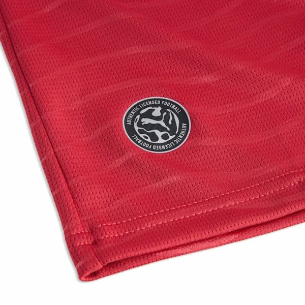 Influence Rouge Kit Puma Maillot Portugal Ronaldo Rouge - Influence Sport